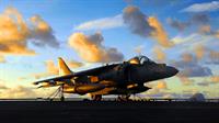 fighter