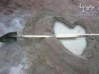 هرکس به نوعی محبتشونشون میده