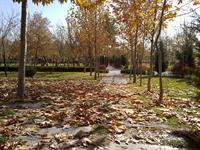 یک روز پاییزی