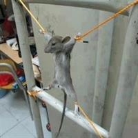 ���� ������ ���������� �������� ���� ���� �������� �������� ���� ���������� ������������ �������������� ������.