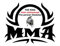 mma