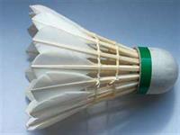 badminton