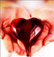 ghalbam taghdim be to