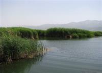 دریاچه زریوار
