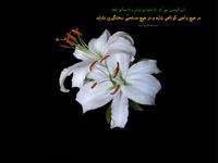 حدیثی درمورد عمل واجب و عمل مستحب