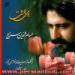 mohsen - mohseni