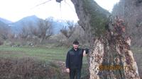 jangal ramian