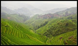 ایجاد گروه کوه نوردی وتبادل اظلاعات  