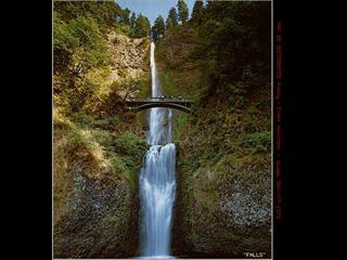 جمع کردن بچه هاي کرج 