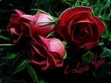 mohammad ali - khakbaz