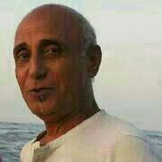 shad bashid