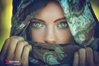 noor fogholadas