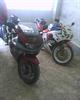 zx9 , cbr250