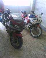 zx9 , cbr250
