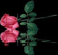 گل خوبه