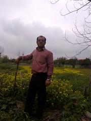 قزوینیها بیان تو