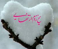 خوشکلم دوستت دارم
