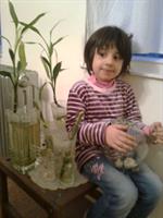 nafas