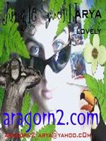 aragorn2.com