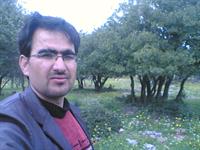 green land