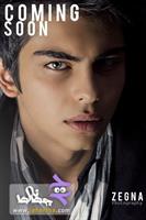 arsalan