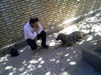 در حال غذادادن به سگم بنی