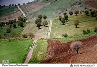کردستان