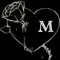 ������ ������ m