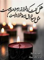 جدال عقل و عشق