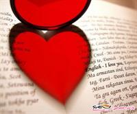 بیب