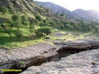 عروس زاگرس