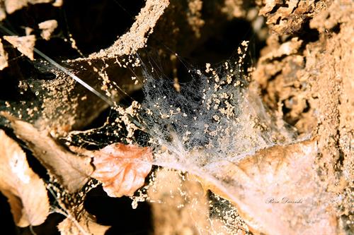 آموزش فتوشاپ و عکاسی سه بعدی 