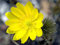 شبکه های عصبی 