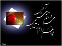 بدون شرح