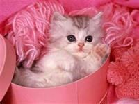s2