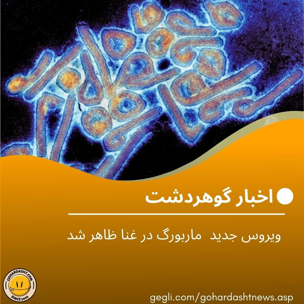 ویروس جدید  ماربورگ در غنا ظاهر شد