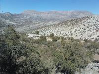 نمای دور از خانه