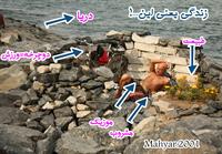 زندگی چیست...