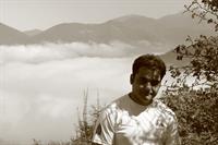 up the foggy weather
