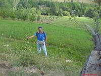 tabiat