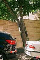 tehran