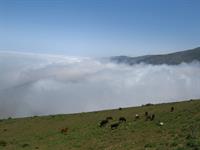 مسیر به سمت روستای یوش