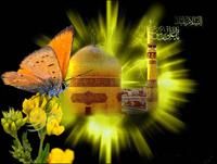 omidam ine dobare beram pabos agha