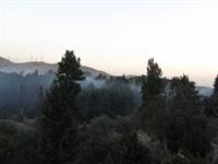 3611039 va 7033220