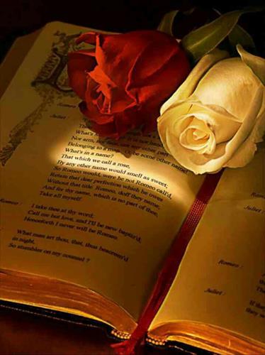 مرکز پژوهش های استراتژیک و آکادمیک و تجاری