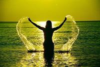 free as bird