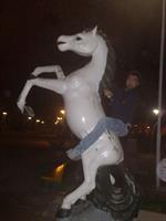 asb ro hal kon