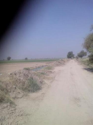 شش هکتار زمین  کشاورزی مرغوب