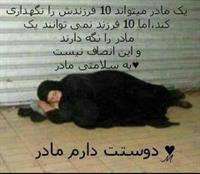 �������� ������������ ���������� ���������� ����������������������