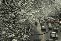 snowy
